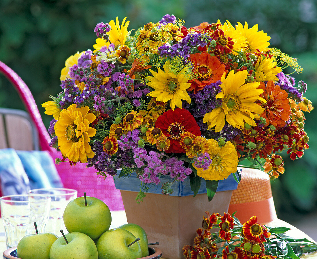 Helianthus (sunflower), Ageratum (liverwort)