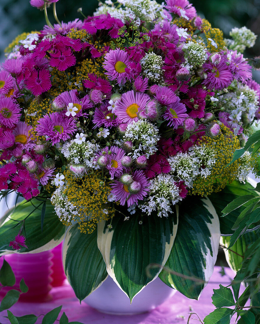 Erigeron (Feinstrahlaster), Centranthus (Spornblume)