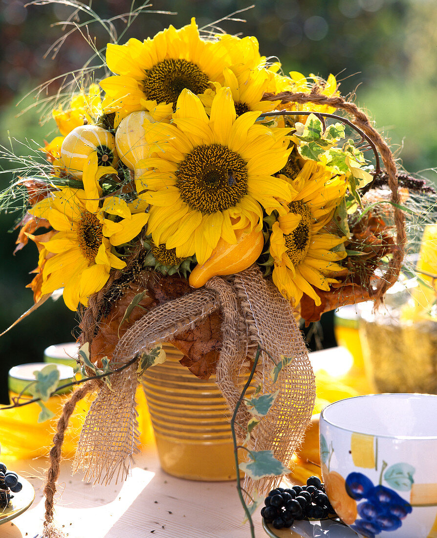 Helianthus annuus (sunflower), ornamental gourds, autumn leaves, grasses