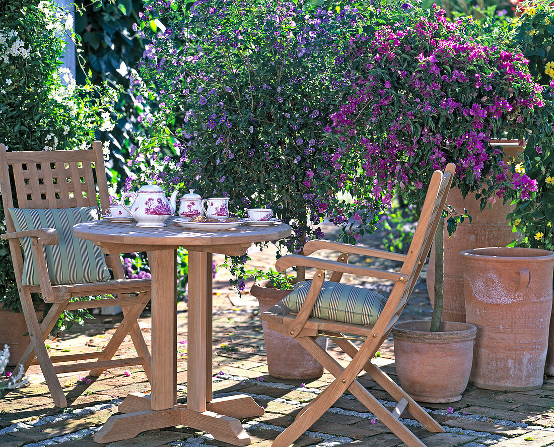 Seating group in teak wood