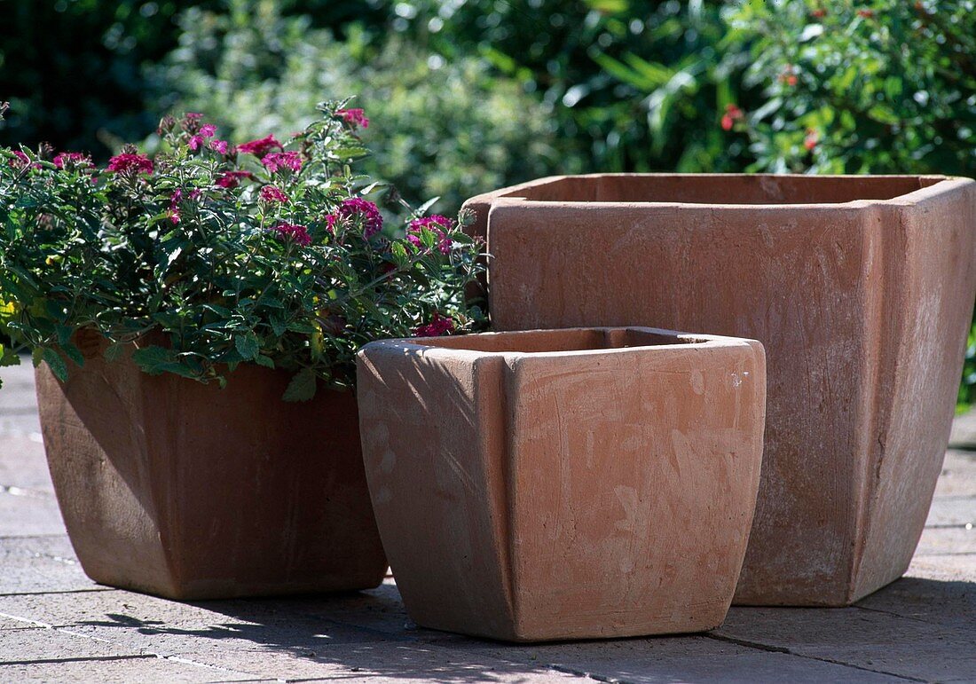 Winterproof modern clay pots in cube form for potted plants