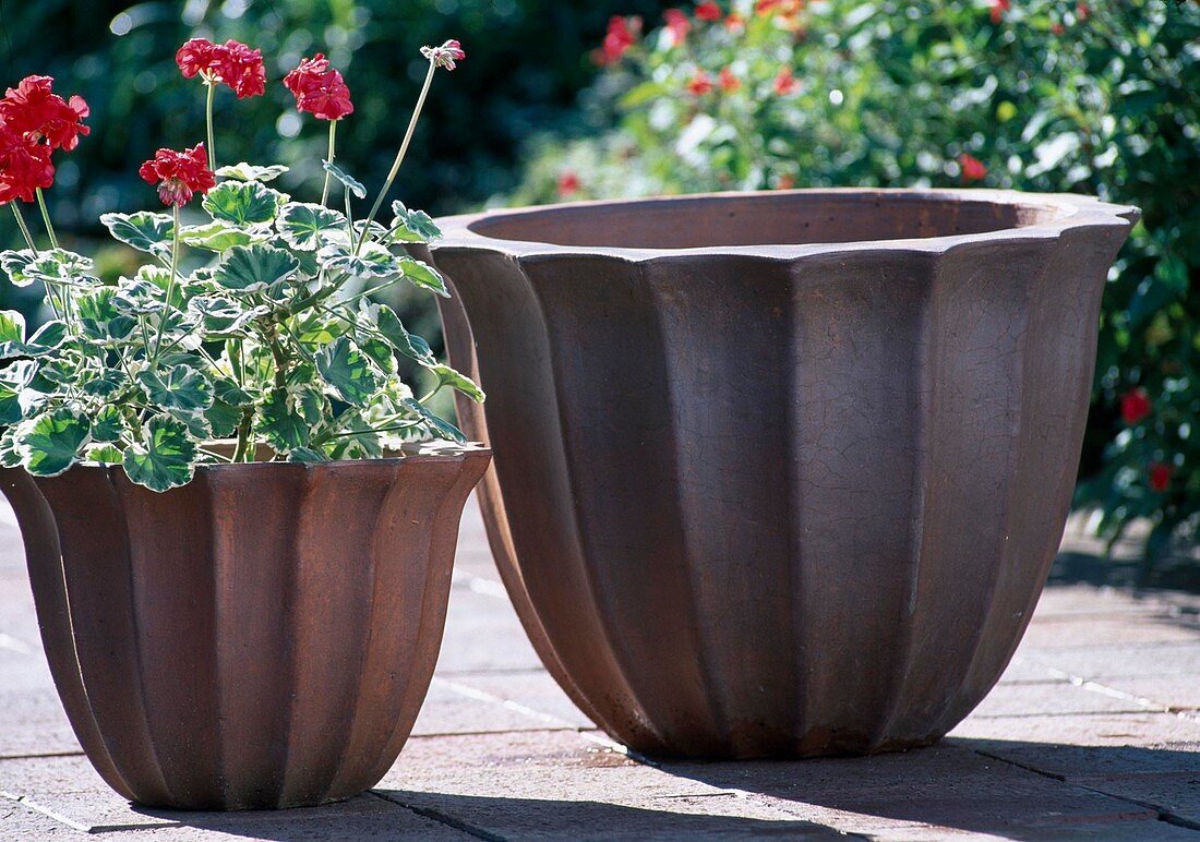 Winterproof modern clay pots for potted plants