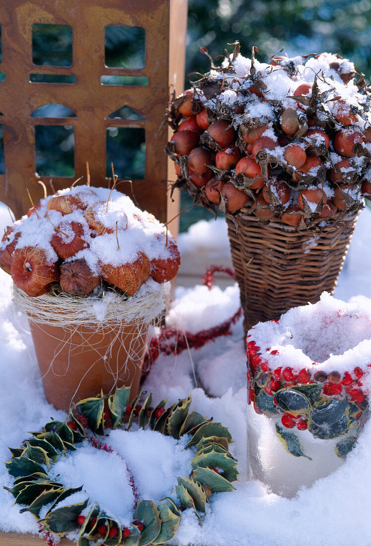 Topfarrangement mit Hagebutten, Physalis (Lampionblume)