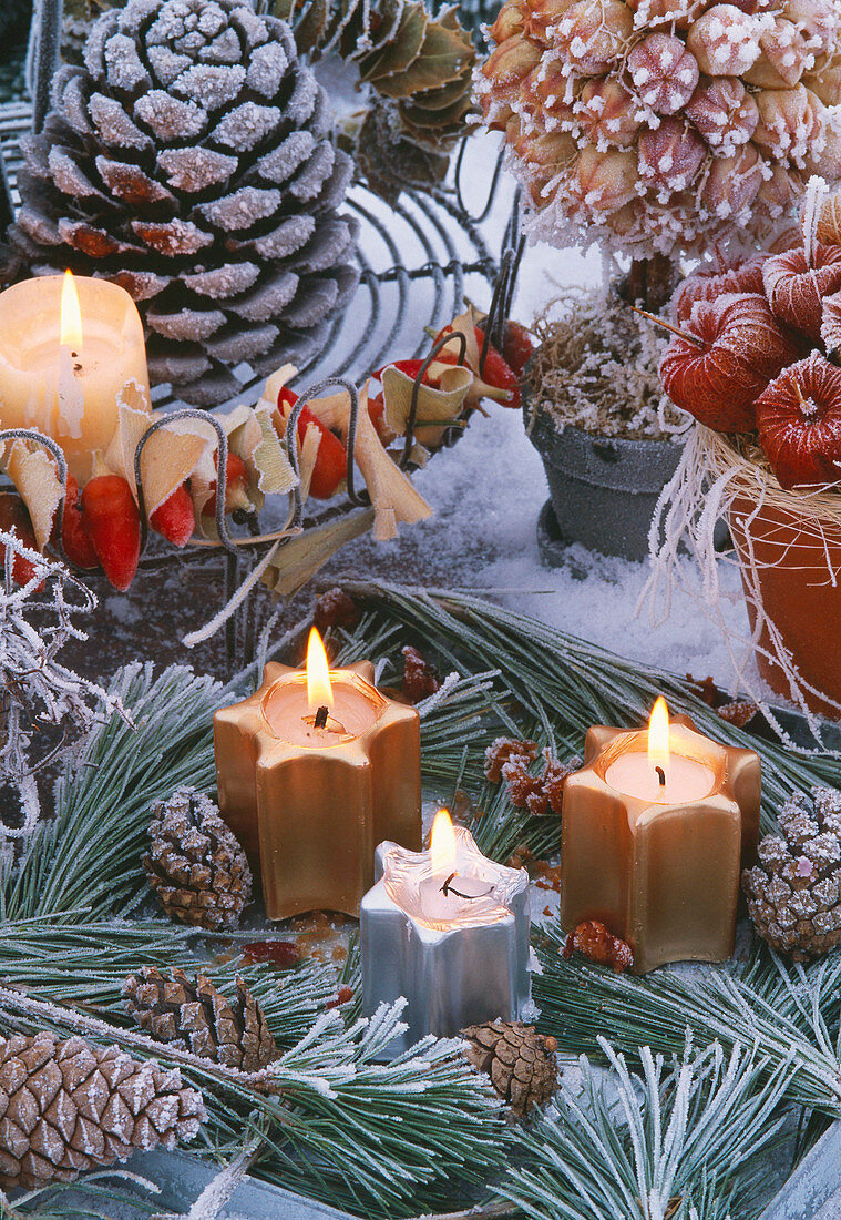 Weihnachtliches Arrangement mit Physalis-und Nigellafruchtständen, Zapfen und Kerze