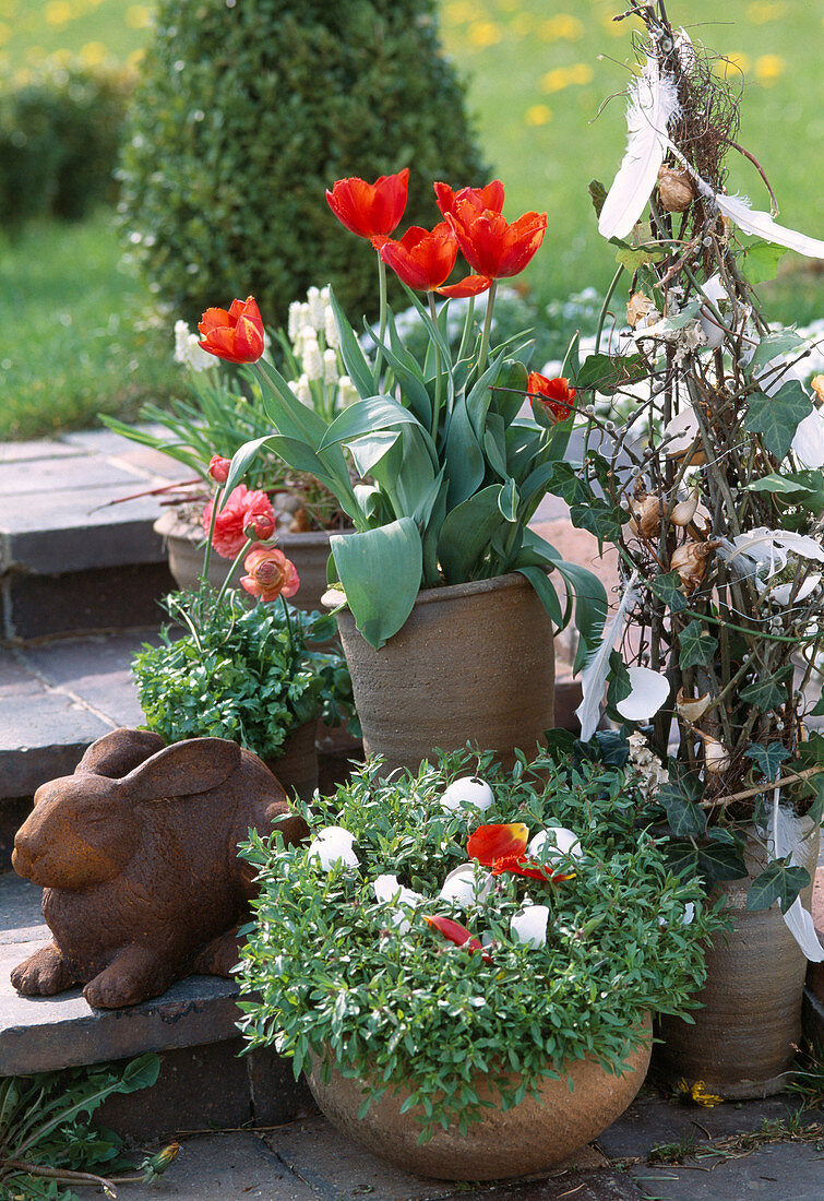 Topf mit Tulipa: Abgestorbene Zweige österlich dekoriert