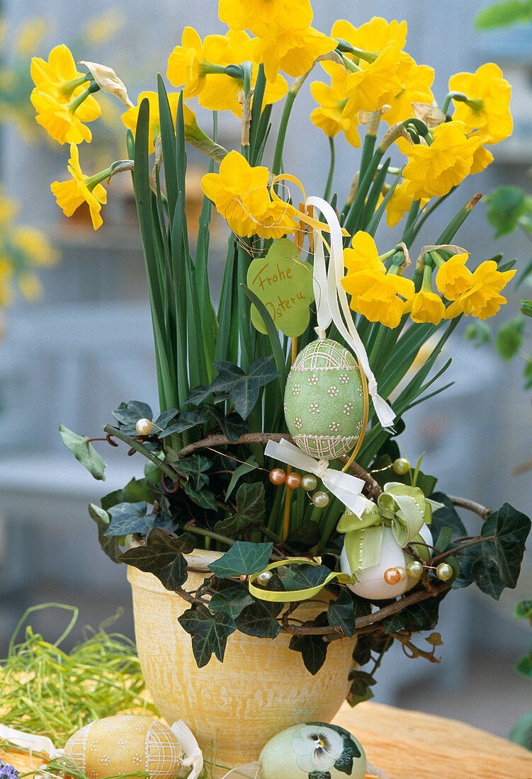 Narcissus hybr. easterly with eggs and ivy wreath