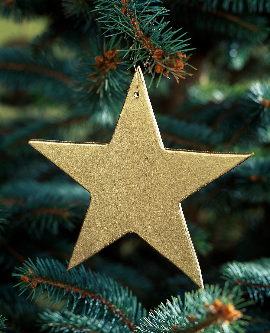 Weatherproof wooden star: Homemade and sprayed with gold paint