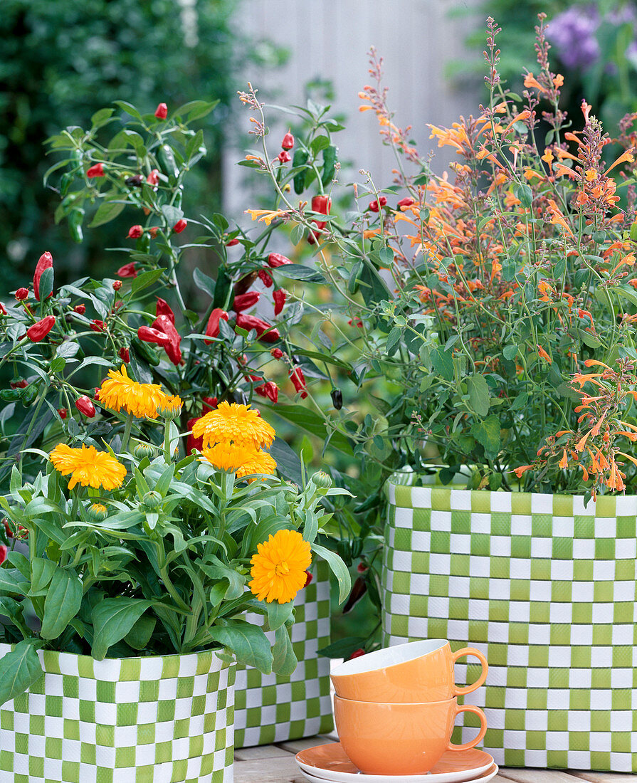 Arrangement with modern check wicker container in light green