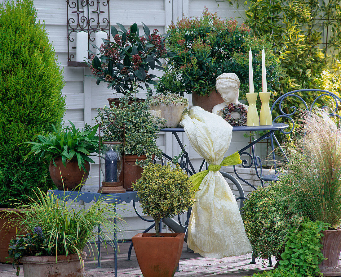 Green-yellow design: Carex, Ajuga, Euonymus, Euphorbia