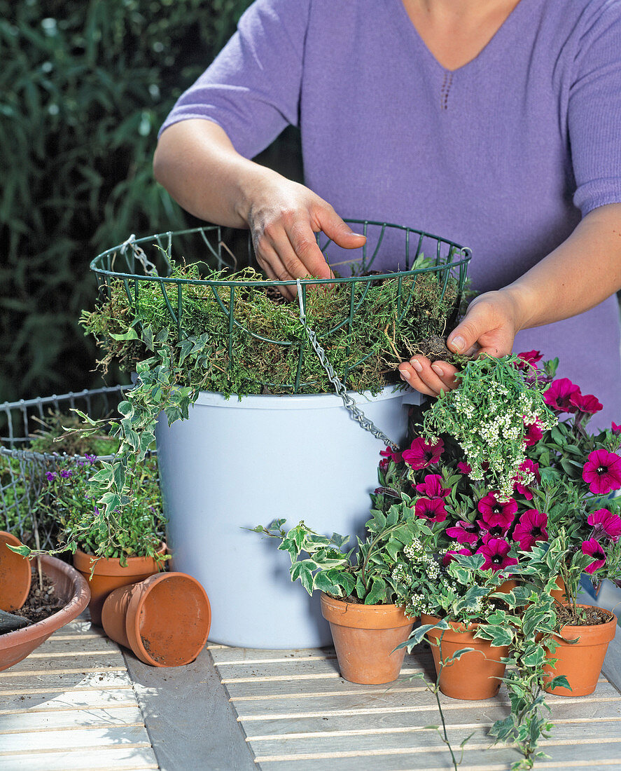 Hanging Basket bepfl. (2/3): Substrat einfüllen, Löcher in den Korb bohren