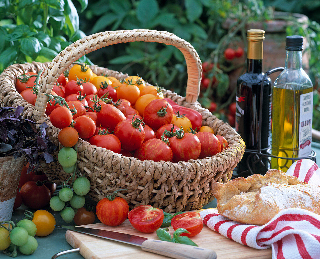 Basket with tomatoes 'Tigarella', 'Bokano' (yellow), 'Picolo'