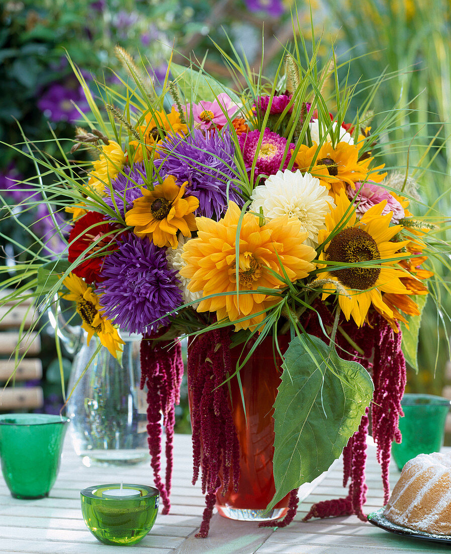 Late summer bouquet, Dahlia hybrid, Callistephus (Sommeraster)