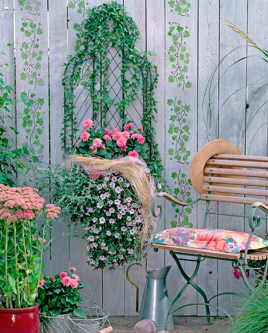 Wire basket as a wall container, planted with Hedera (ivy), dahlias