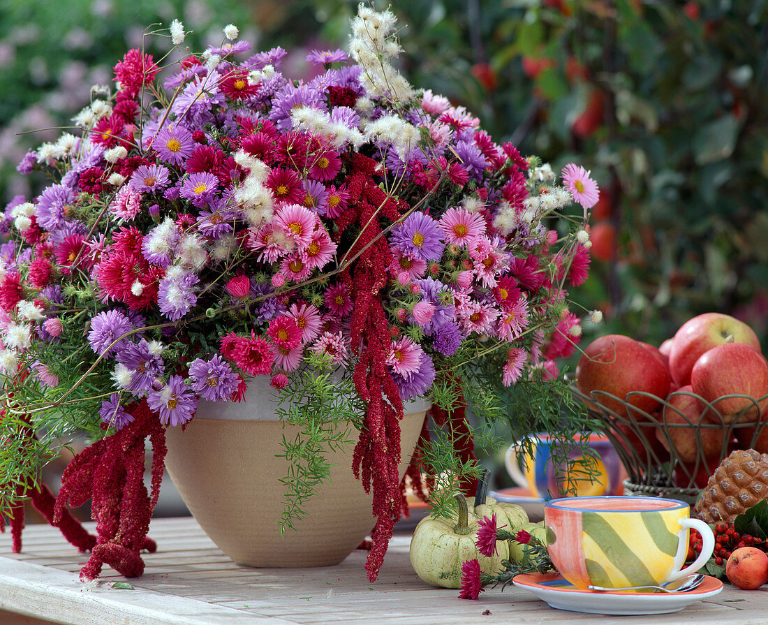 Autumn bouquet with various Aster hybrids, Herbstaster, Amaranthus
