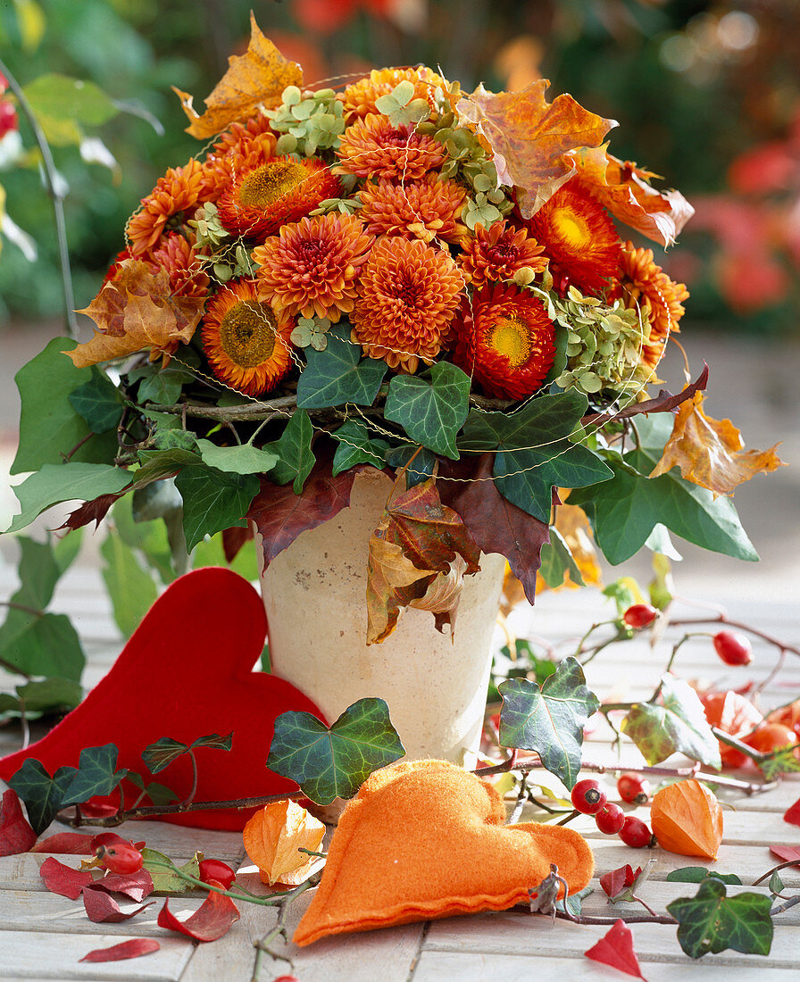 Dendranthema (autumn chrysanthemums), Helichrysum (strawflowers)