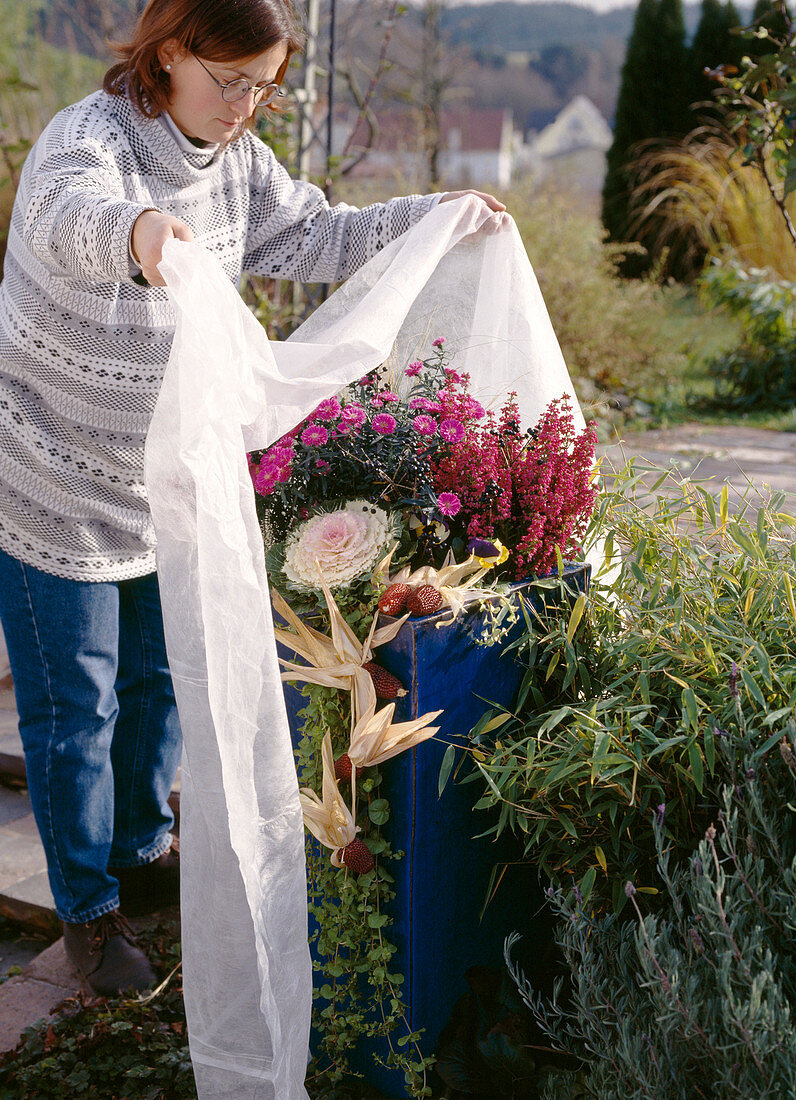 Cover autumn plants with fleece before early frosts