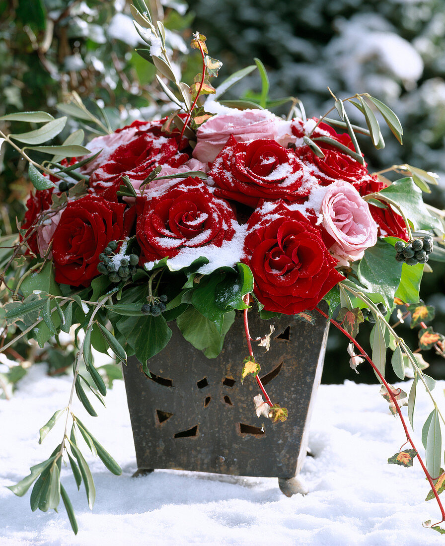 Rose bouquet with snow, hedera (ivy) with berries and olive branch