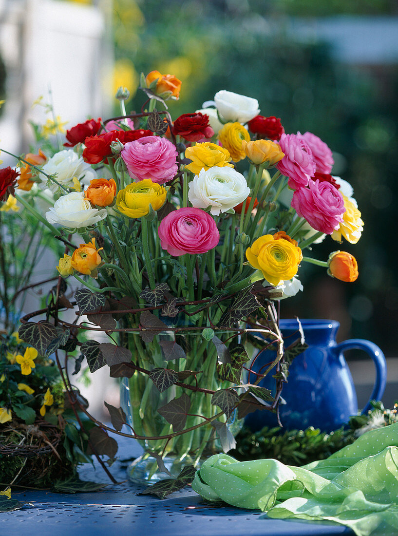 Glass vase with Ranunculus asiaticus (ranunculus, hedera (ivy)