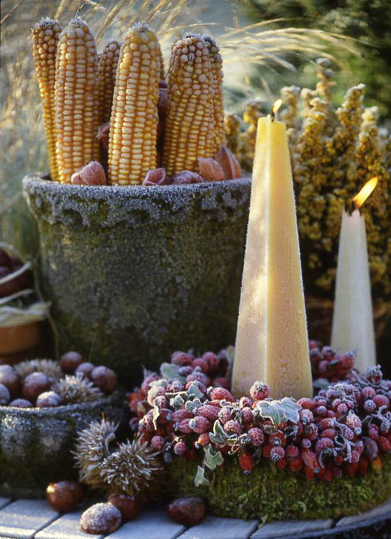 Candle in a wreath of rose hips and moss, pot with corn cobs