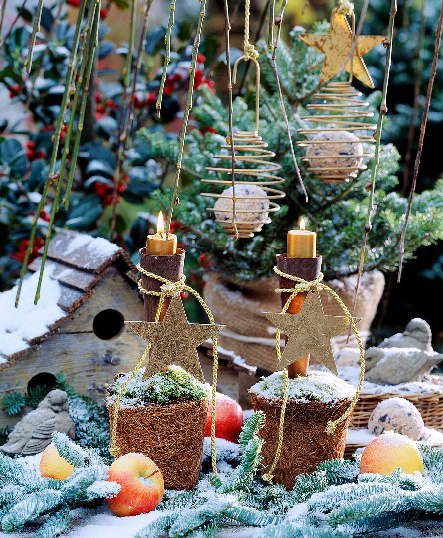 Wooden bird house, coco pot with moss, lantern and stars