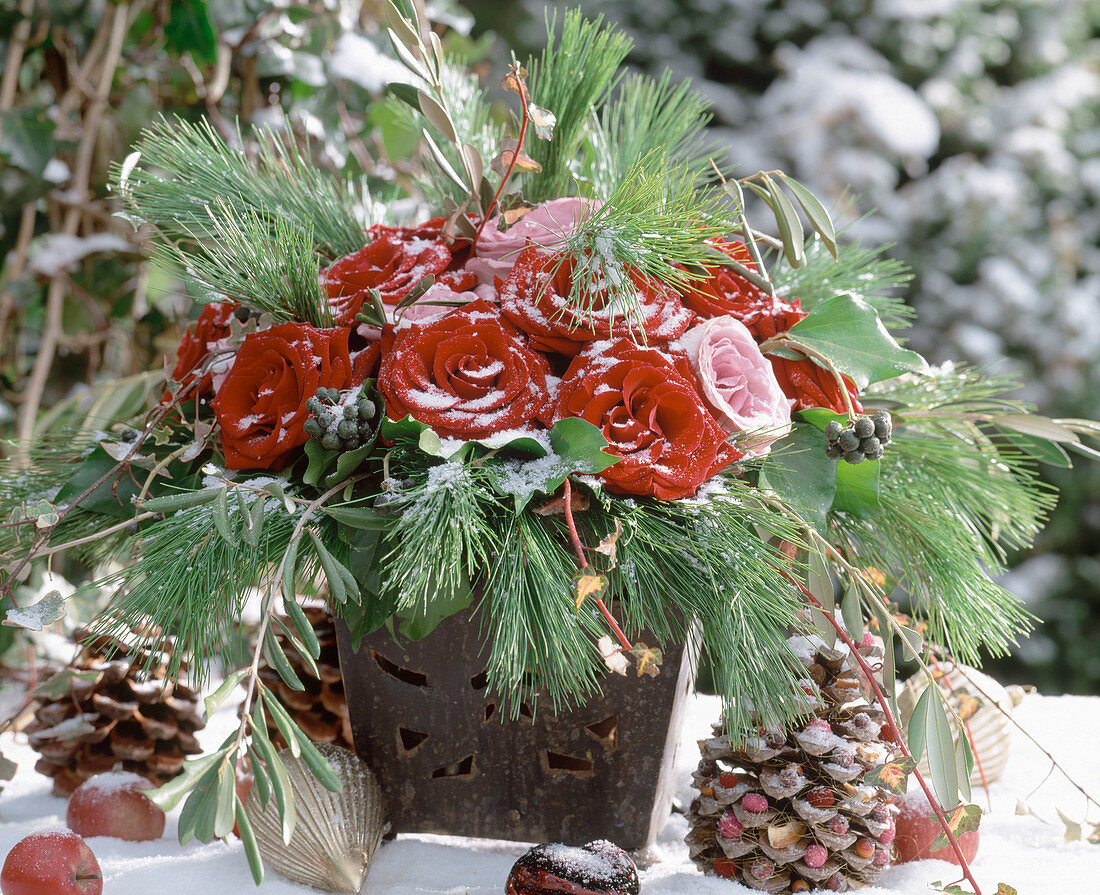 Winterstrauß mit roten Rosen, Pinus (Seidenkiefer), Hedera (Efeu), Olivenzweige