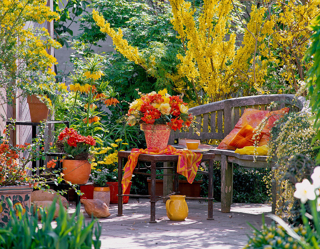 Terrasse in orange (gelb); Narcissus 'Pipit', Tulipa (Tulpe)