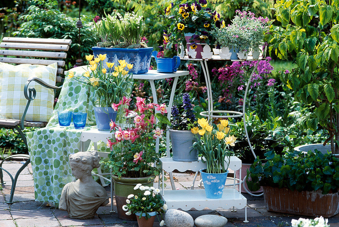 Spring arrangement with Viola sororia (violets), Convallaria