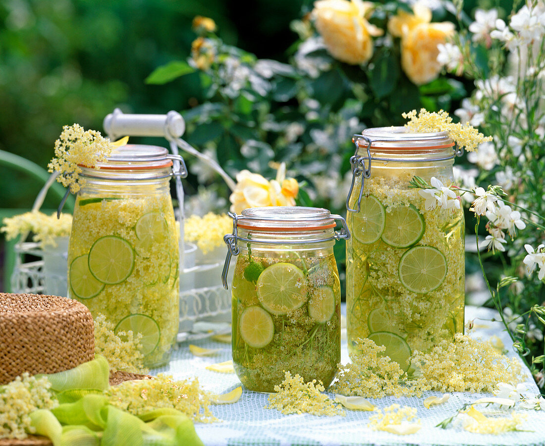Holunderlimonade : Wasser, Zitrone, Zucker und Holunderblüten