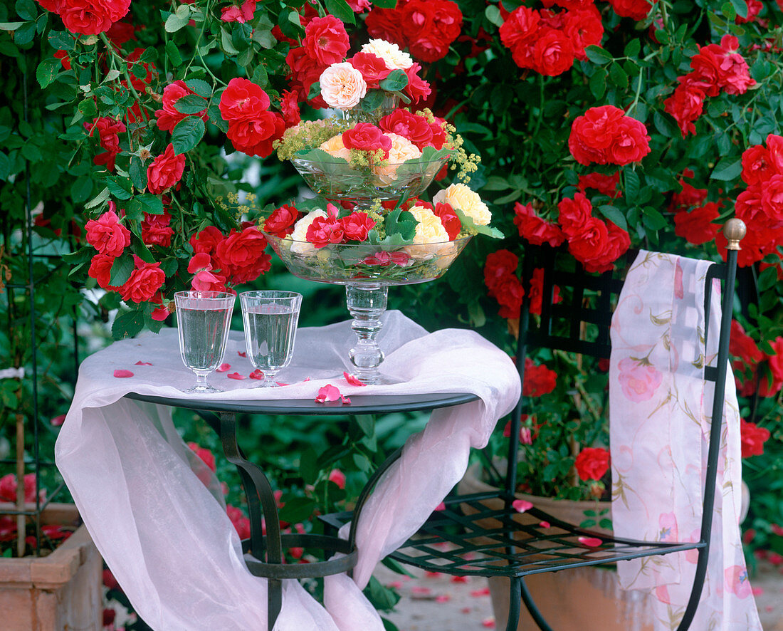 Etagere with various rose blossoms, Alchemilla (lady's mantle)