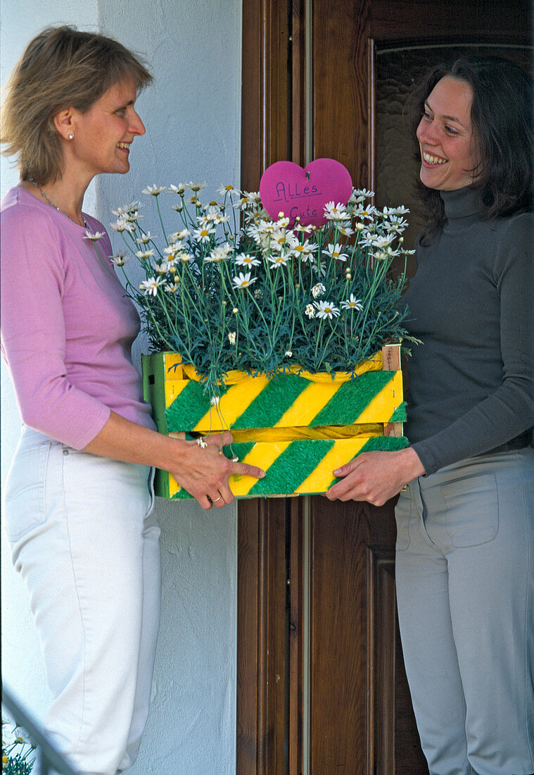 Fruit box painted and covered with artificial turf as a gift