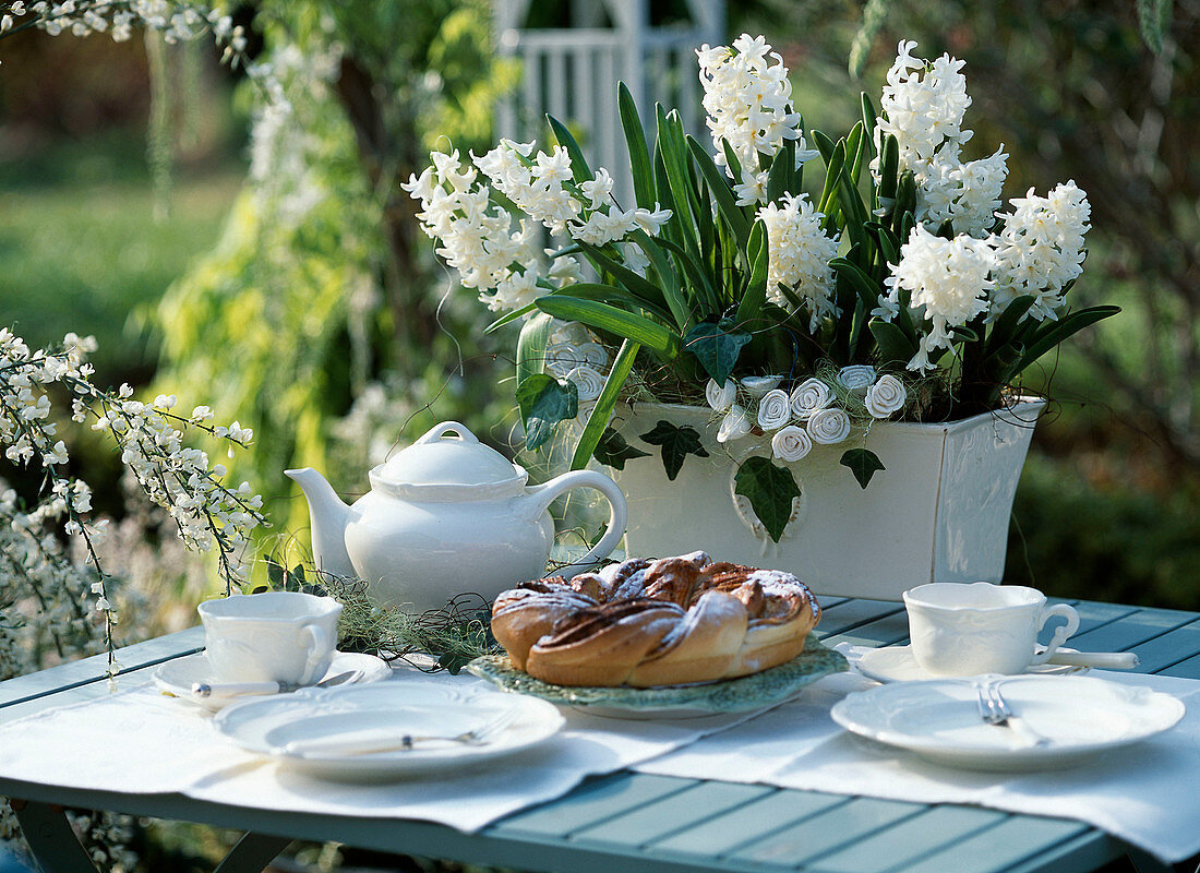 Table decoration in white, jardiniere with Hyacinthus