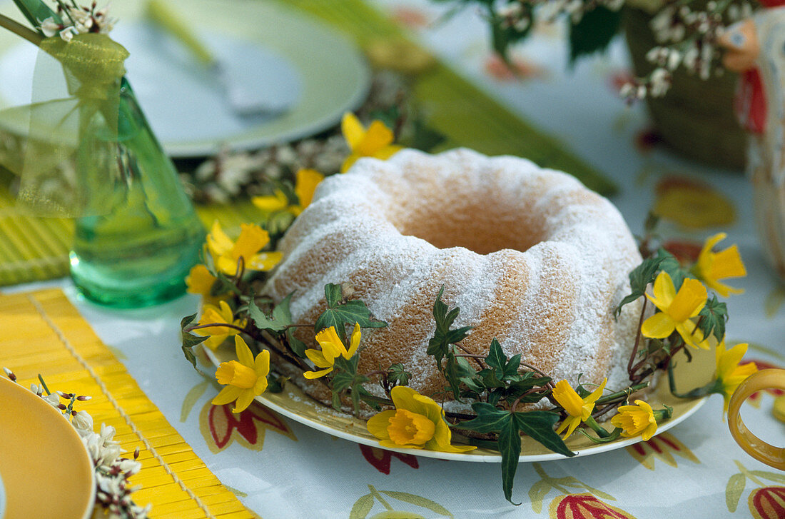 Topfkuchen mit Narcissus 'Tete a Tete' (Osterglocken)