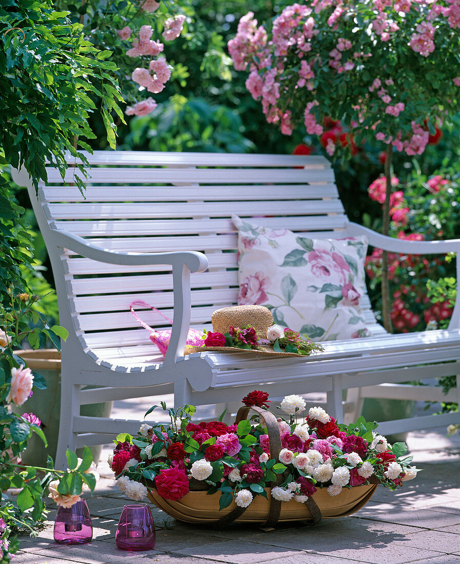 weiße Holzbank mit Stämmchenrose 'Ballerina', Korb