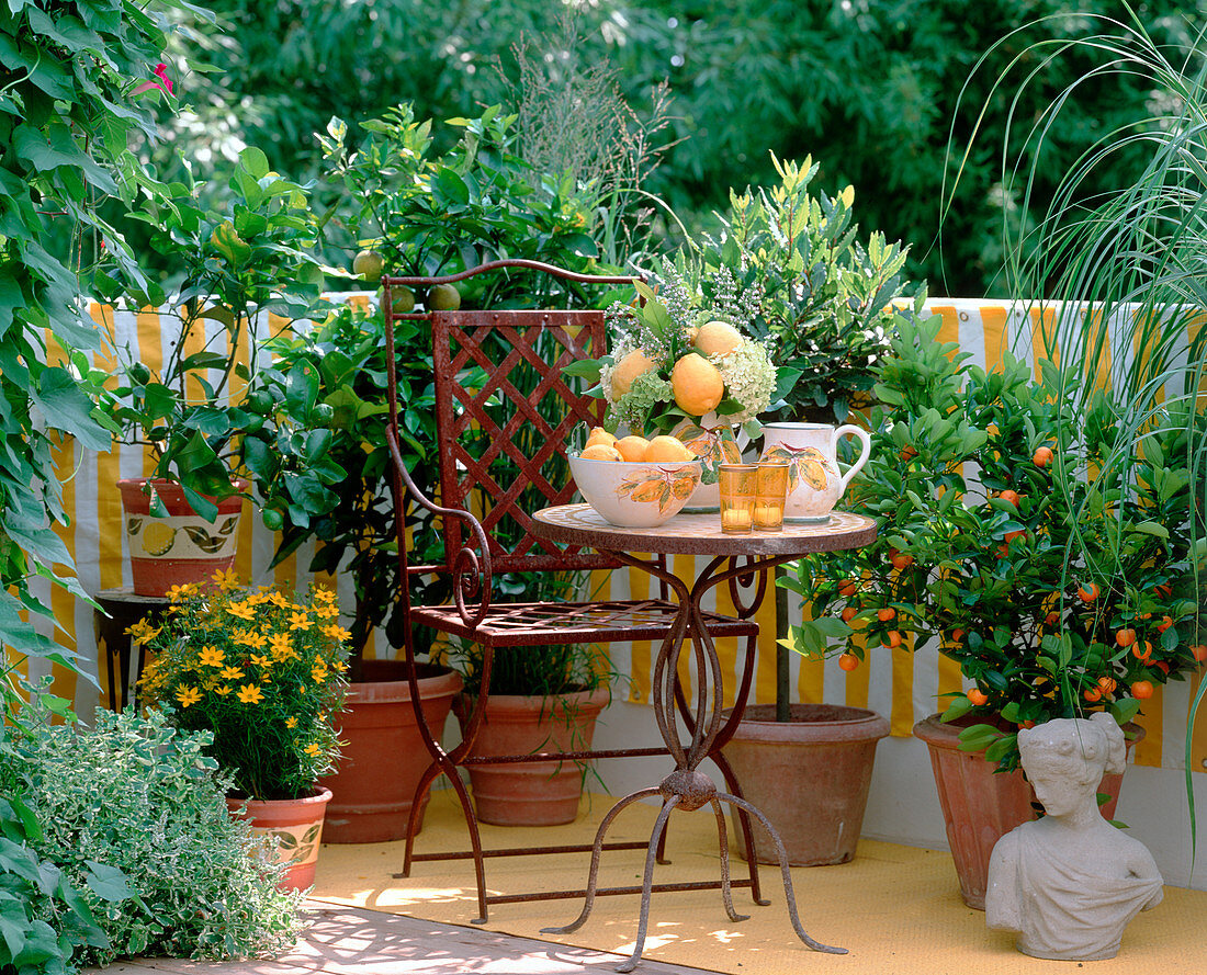 Balcony with Mediterranean flair-pineapple mint