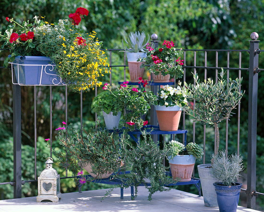 Commuter balcony with low-maintenance plants