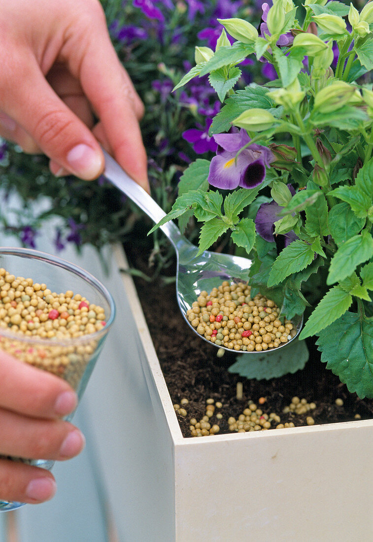 Plant box with water reservoir