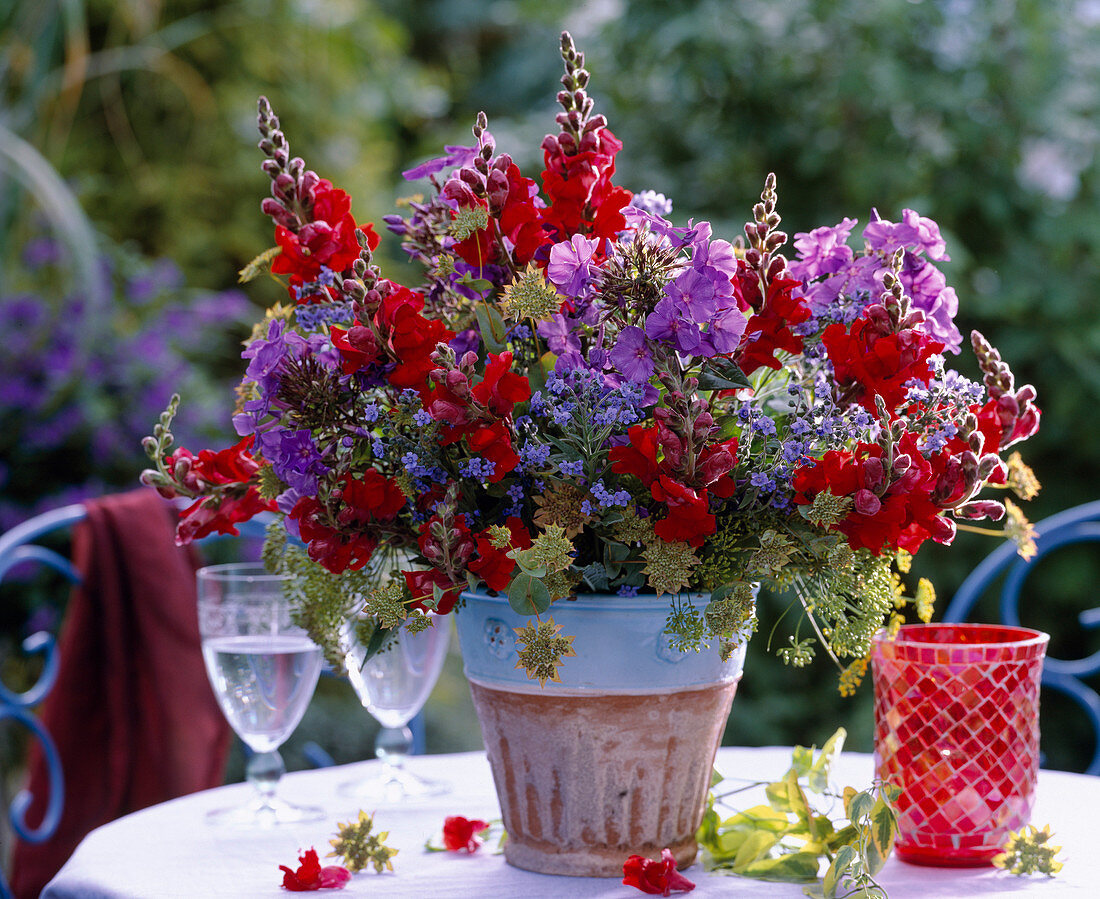 Antirrhinum majus (snapdragon)