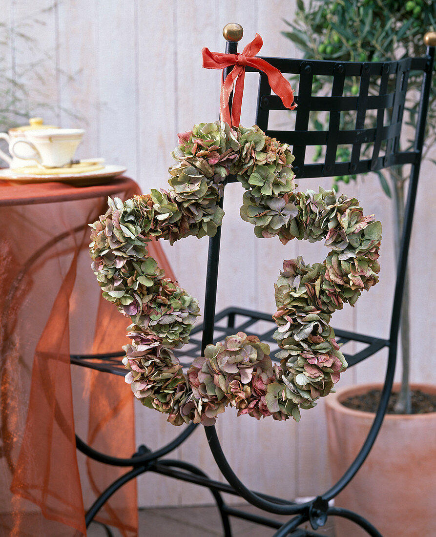 Wire star with hydrangea (hydrangea flowers)