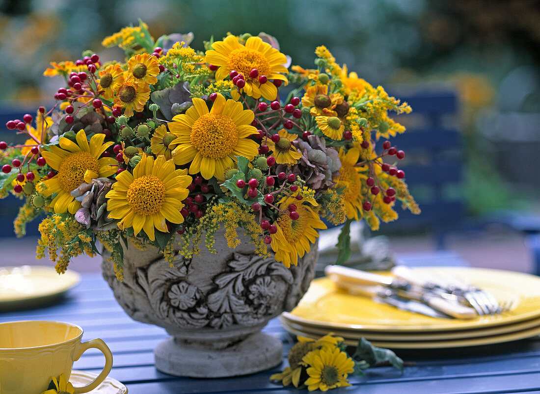 Spätsommerblüten: Helianthus decapetalus (Staudensonnenblume), Solidago