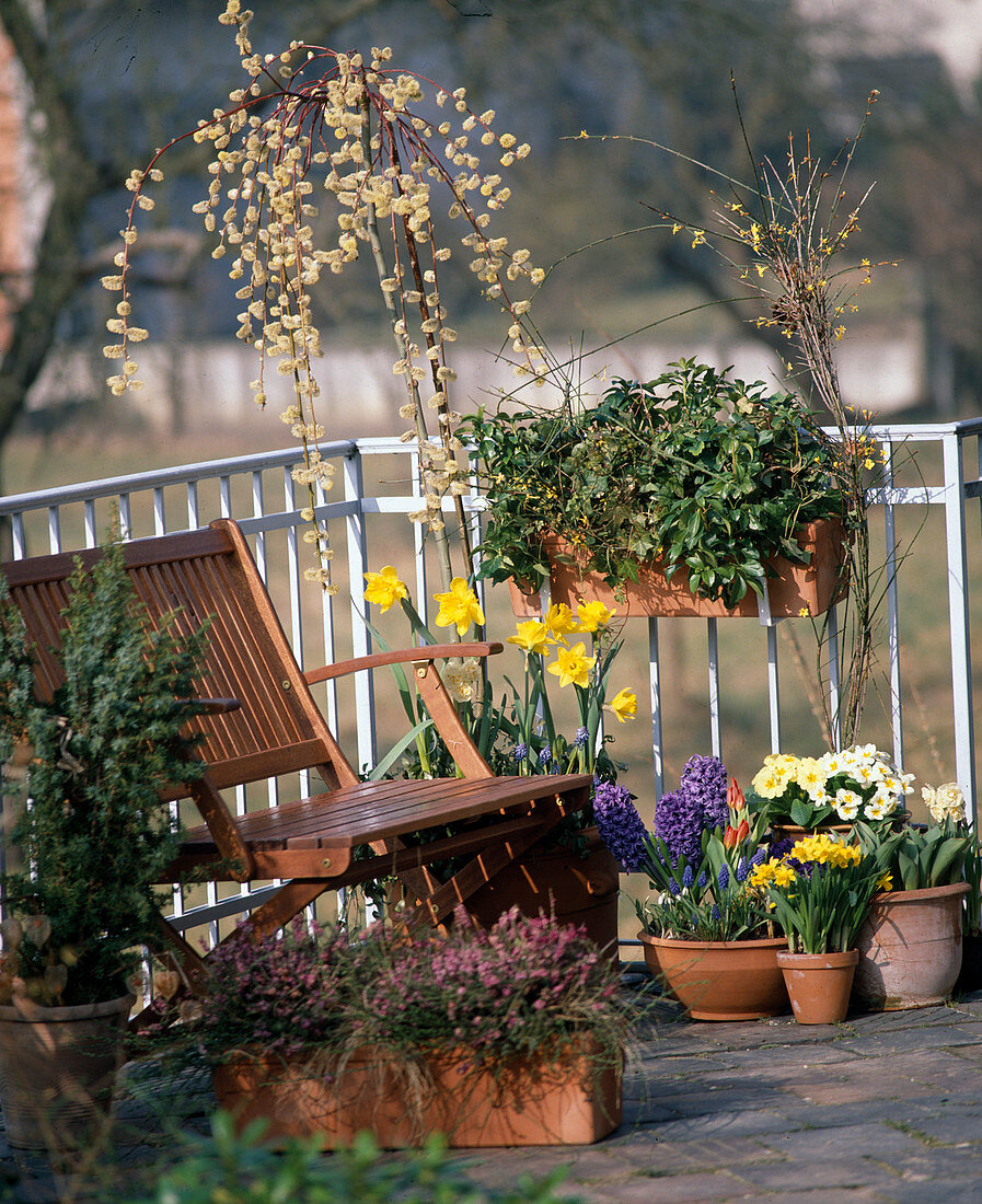 Frühlingsbalkon