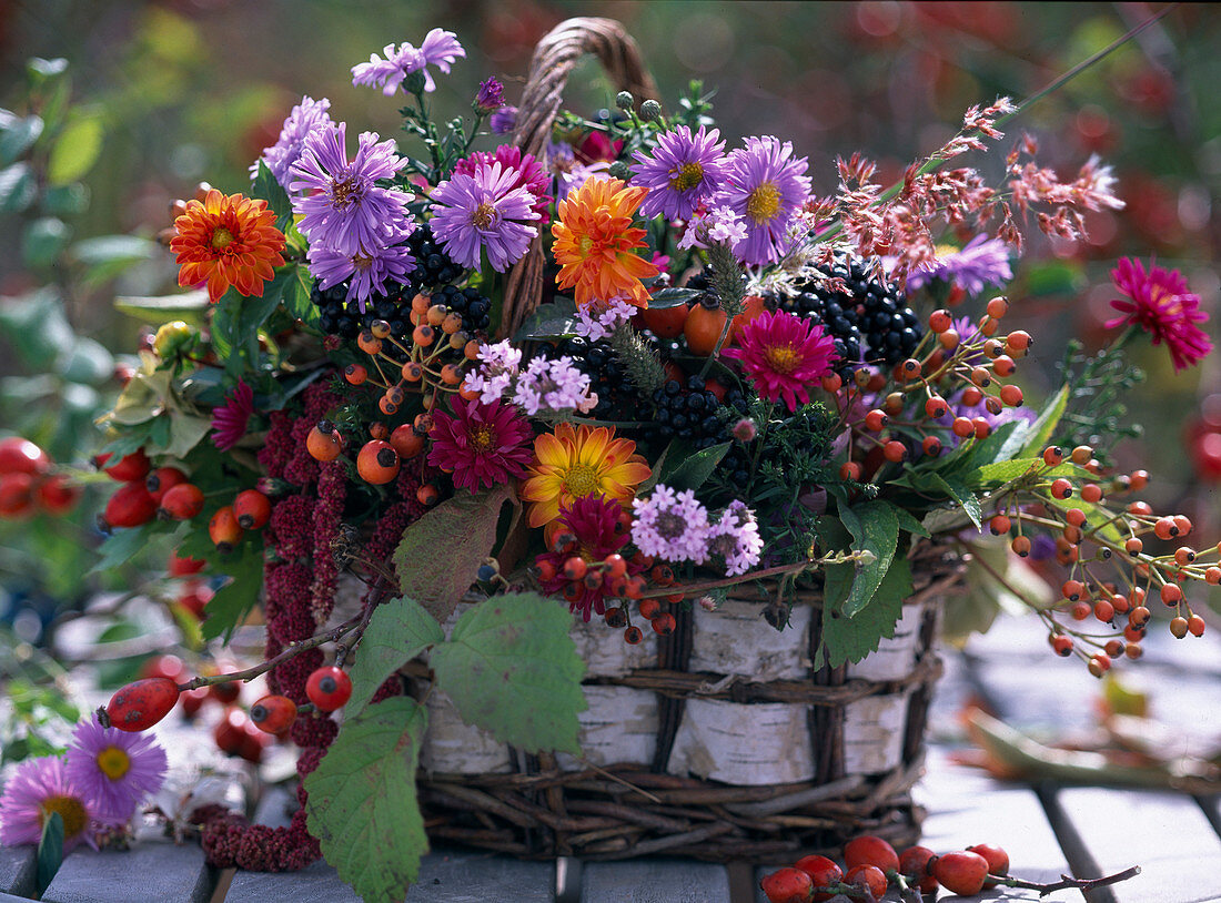 Wicker basket, asters blossoms, chrysanthemum autumn chrysanthemums, viburnum