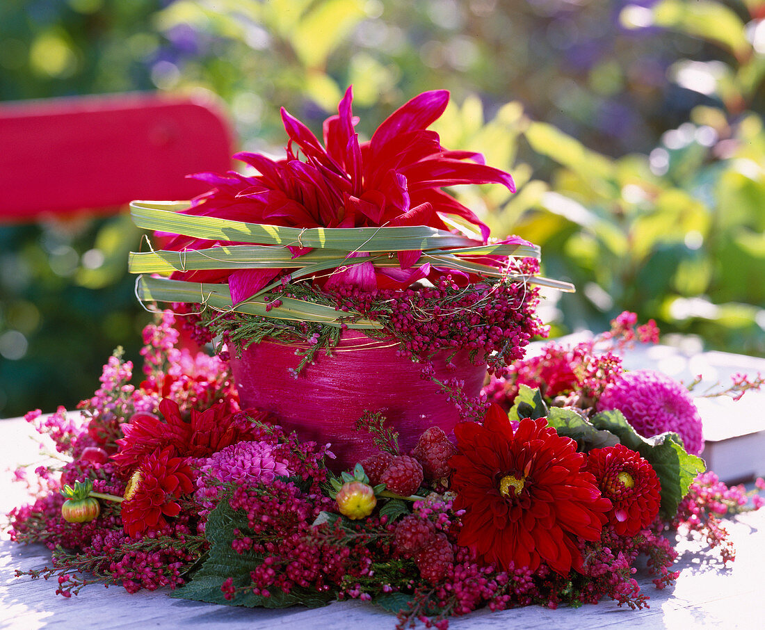 Clay pot with large Dahlia flower, wreath of Erica and Chinese reed on clay rim