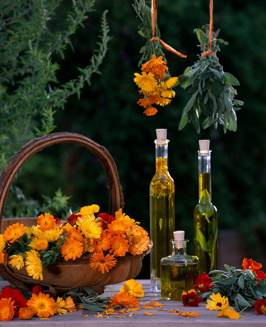 Calendula marigolds, Tropaeolum nasturtium, Salvia sage, flowers