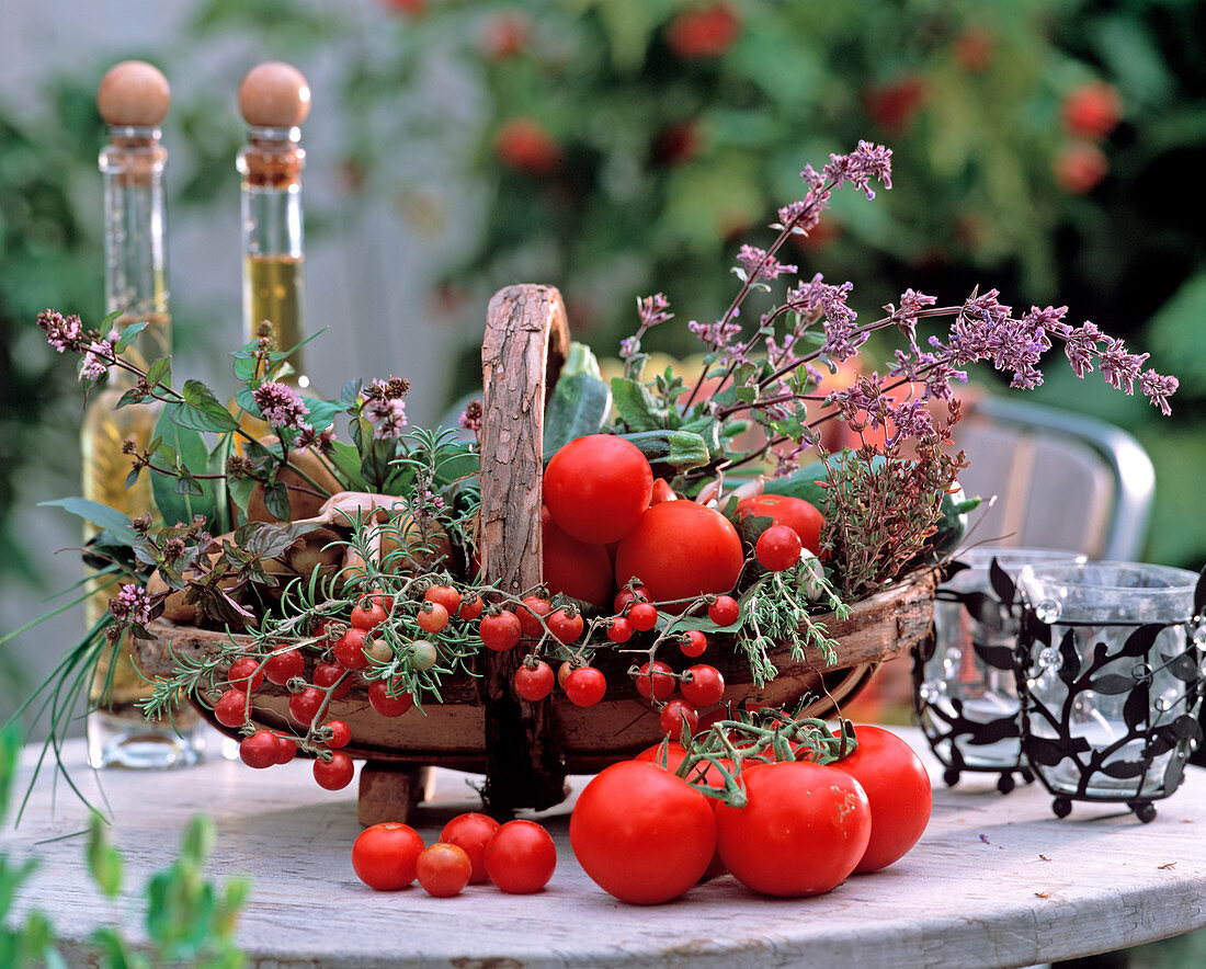 Basket with Lycopersicon (tomatoes), Mentha (mint), Rosmarinus