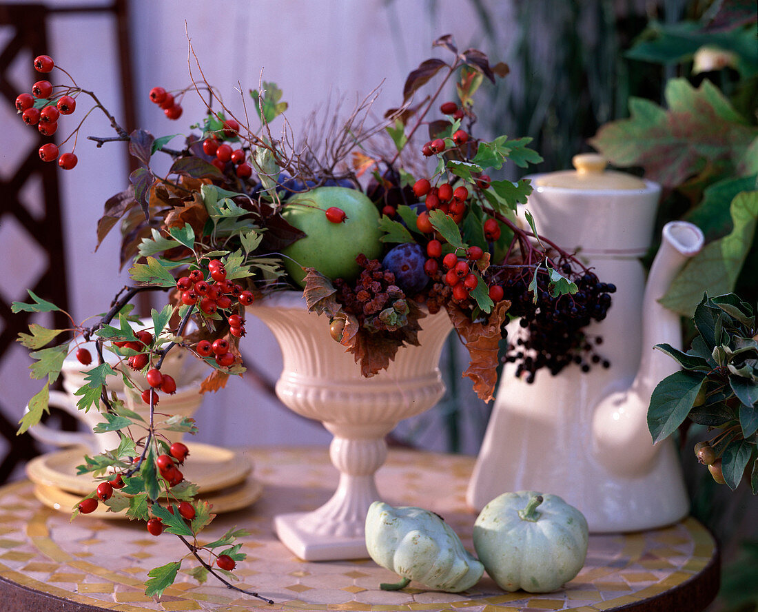 Crataegus / Weißdornzweige, Sambucus / Holunder, Malus / Apfel, Vitis / Weintrauben