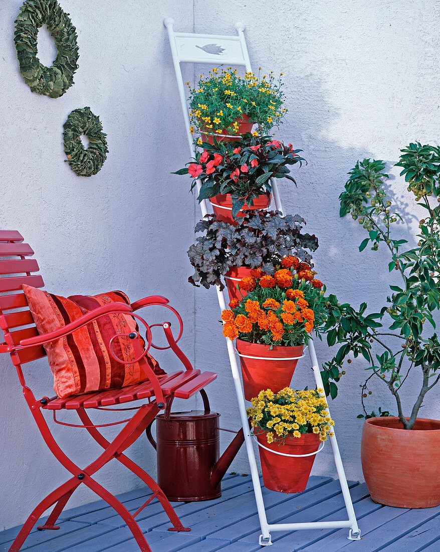 Space saving flower ladder made of metal for leaning on