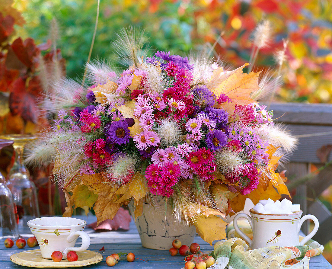 Autumn Bouquet : Aster (Autumn Aster), Hordeum (Mane Barley), Pennisetum (Feather Bristle Grass)