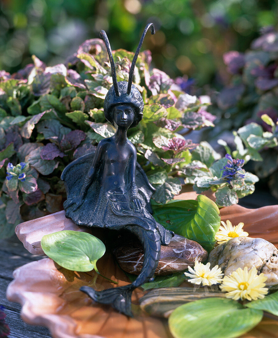 Bird feeder: Ajuga reptans 'Rainbow' (variegated günsel with mermaid)