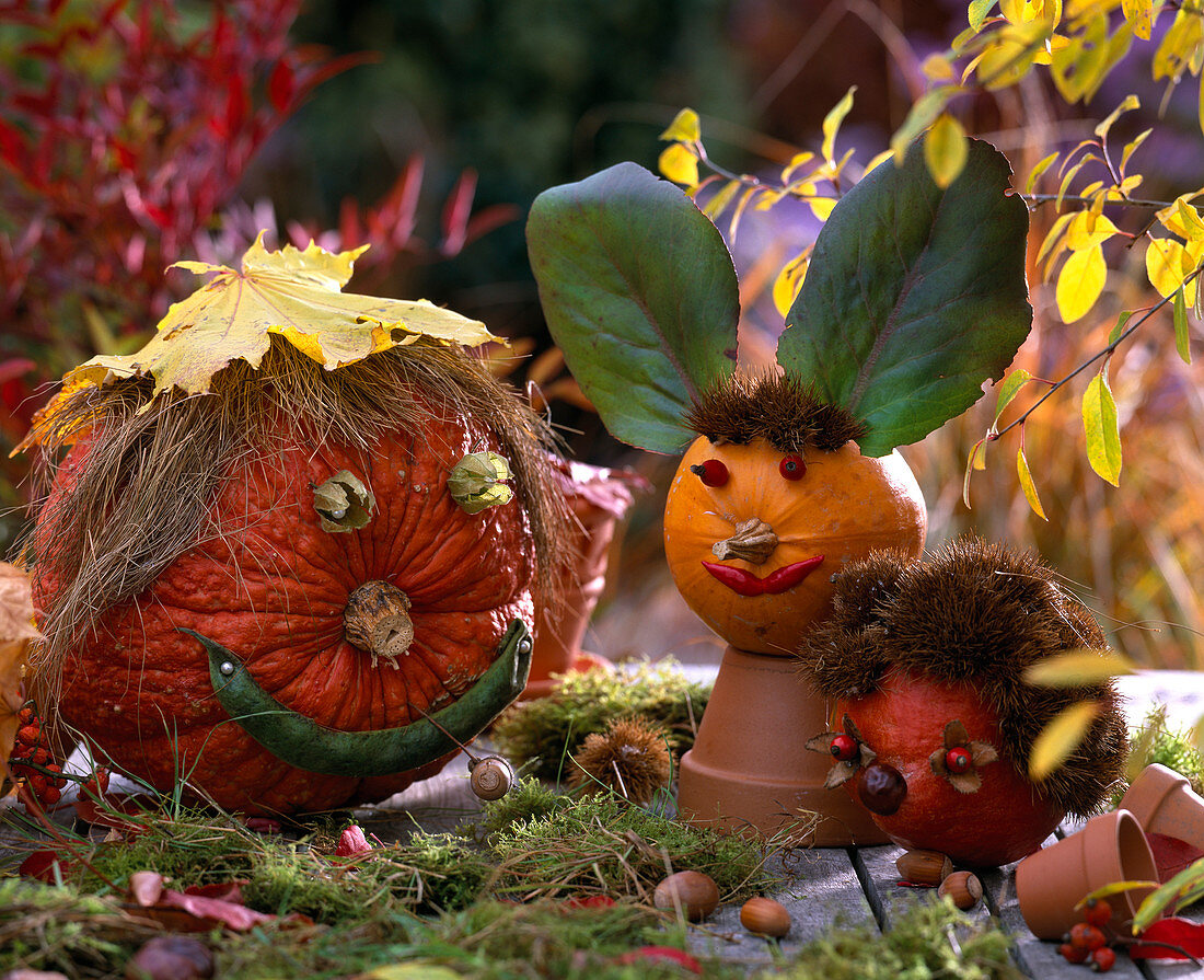 Pumpkin heads made with leaves, rose hips, beans as mouths, physalis as eyes, chestnut shells as hair