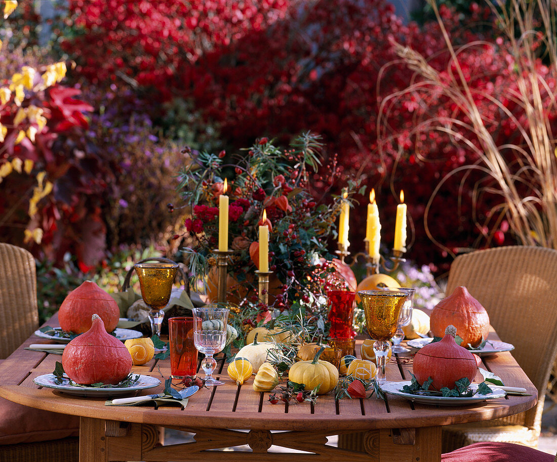 Table decoration with Cucurbita (pumpkins), Rosa (rosehips), Hedera (ivy), Physalis (lantern flower)